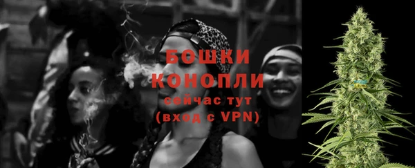 ПСИЛОЦИБИНОВЫЕ ГРИБЫ Новозыбков