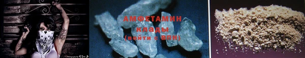 ПСИЛОЦИБИНОВЫЕ ГРИБЫ Новозыбков
