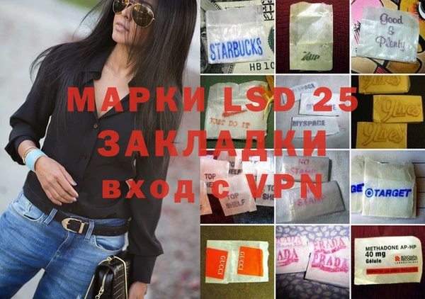 PSILOCYBIN Новокубанск