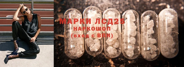ПСИЛОЦИБИНОВЫЕ ГРИБЫ Новозыбков