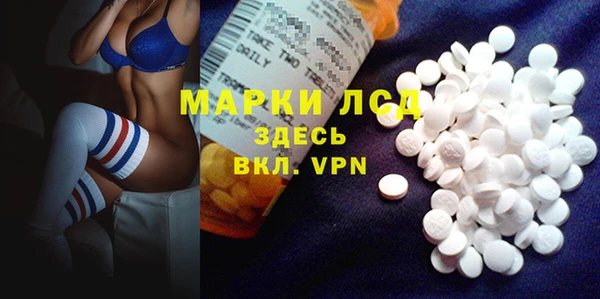 ПСИЛОЦИБИНОВЫЕ ГРИБЫ Новозыбков