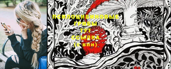 спайс Нея